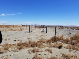 31296366