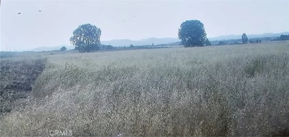 31463105
