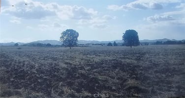 31463101