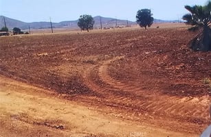 30702407