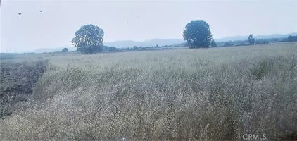 30702412