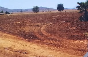 31463104