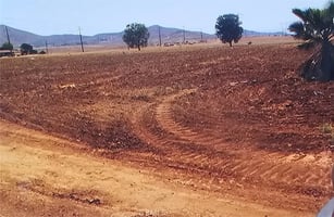 31463100
