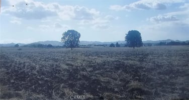 30702406