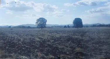 31463099