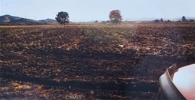31463102