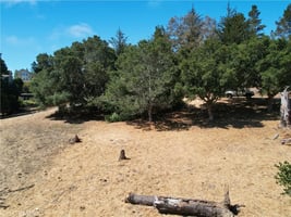 30702687