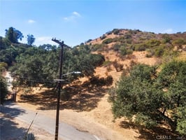 31567239