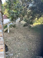 31567241