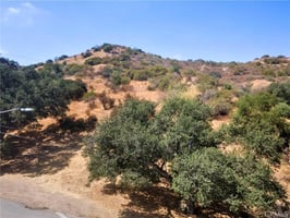 31567237