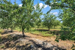 31672543