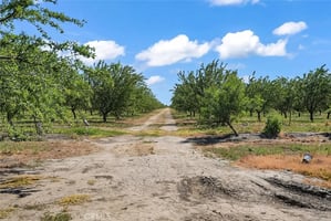 31672529