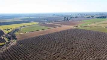 32007828