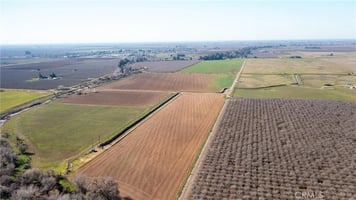 32007831