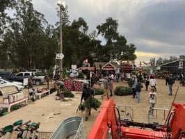 31543188