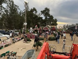 30706597