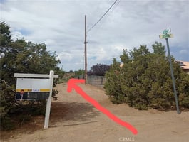 30706904