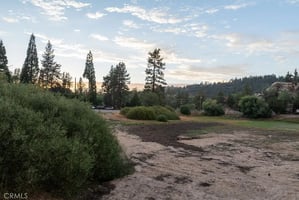 30709994