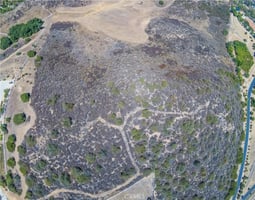 30716253