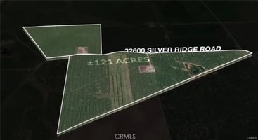 31300475
