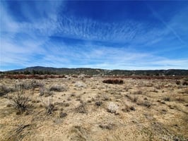 30724751