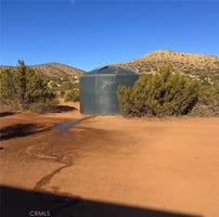 30725025