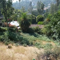 31279006