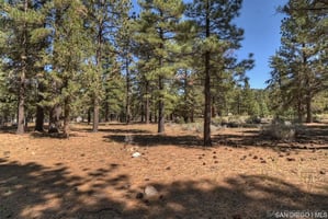 30728346