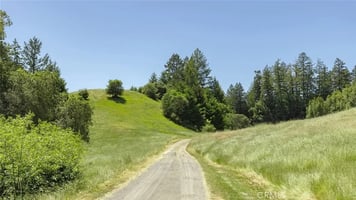 30732045