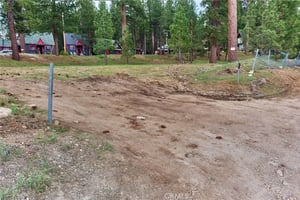 33794162