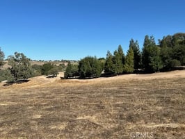 30738031