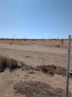 30739671