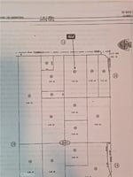 30739670