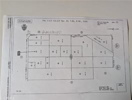 30739667