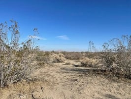 30741262
