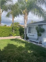 31076942
