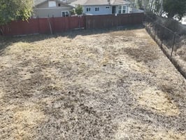 30745746