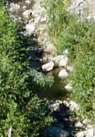 33468804