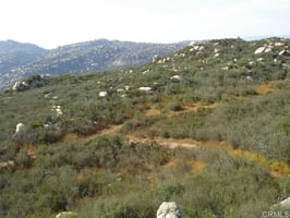 30767295