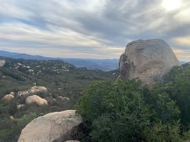 30767297