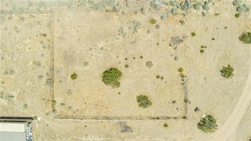 30767656