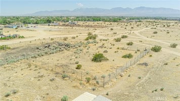 30767653