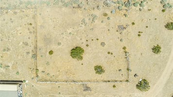 31314953