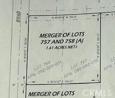 30772038