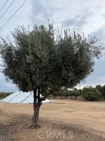 31497764
