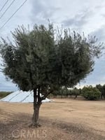 30772040