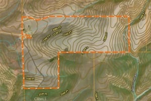31893203