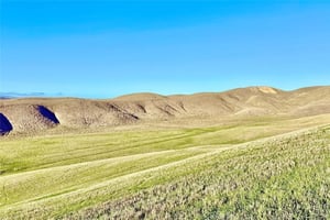 30775003