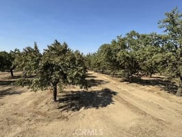30776664