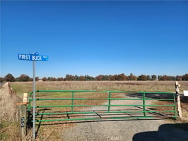 32206498